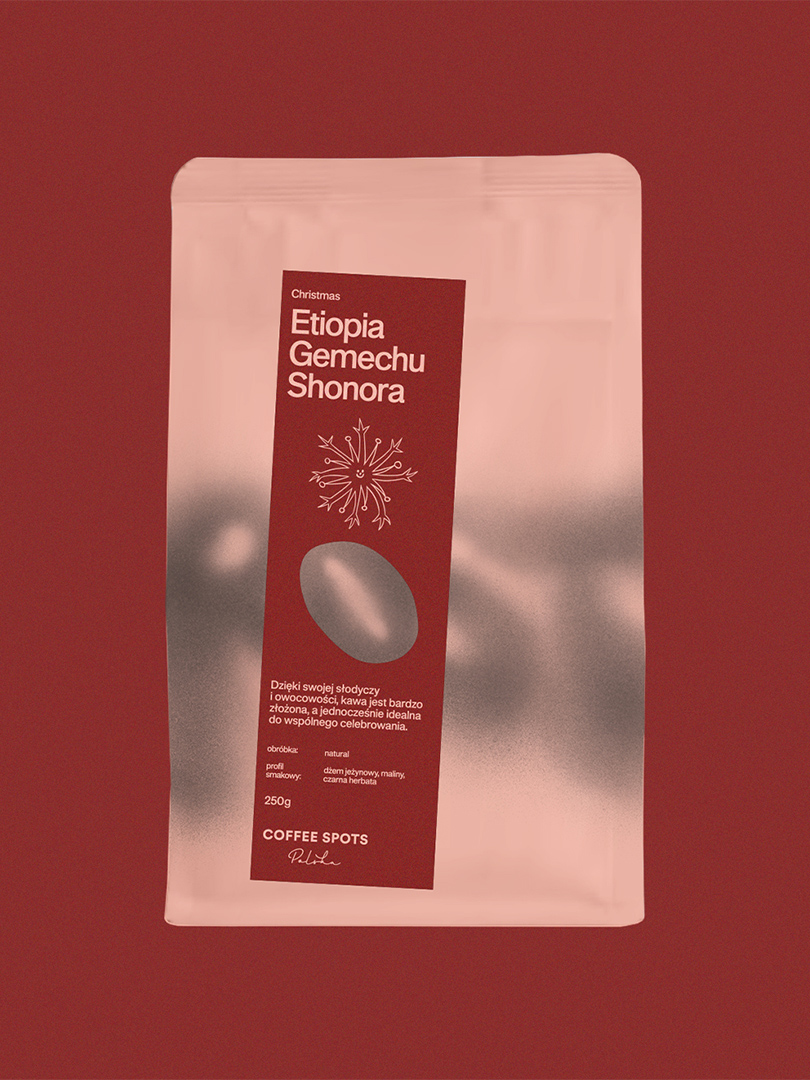 ZESTAW: Świąteczna Kawa CSP x ROST Etiopia Gemechu Shonora + Przewodnik CSP - ROST zdjęcie 2